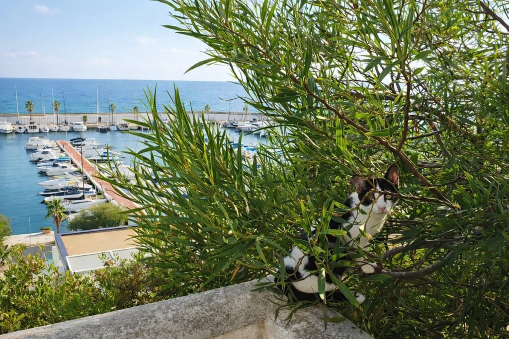 Sitges port