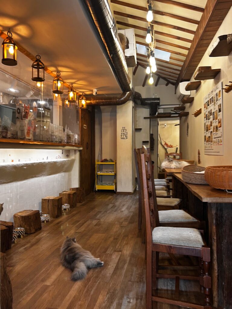 Café Miaou