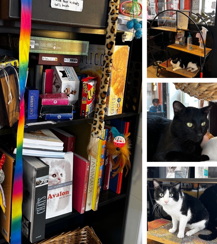 Le Chat-Rivari Café Paris