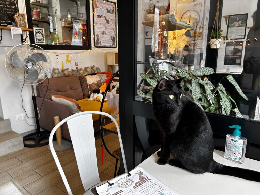 vegan restaurant in Paris