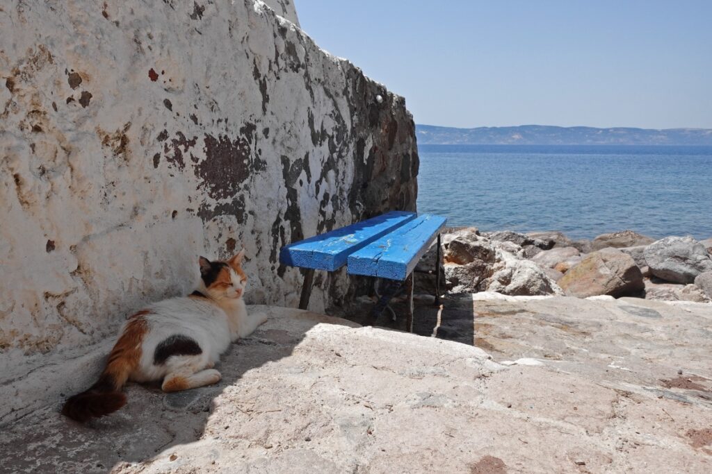 Aegean Sea Lesbos