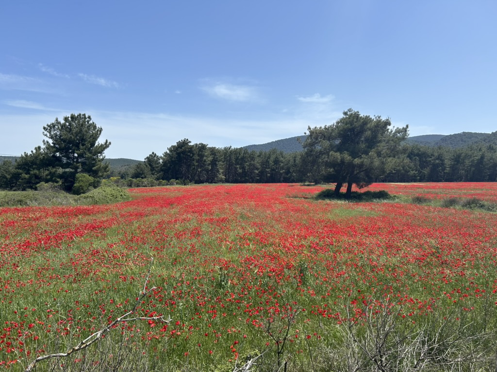Agia Paraskevi