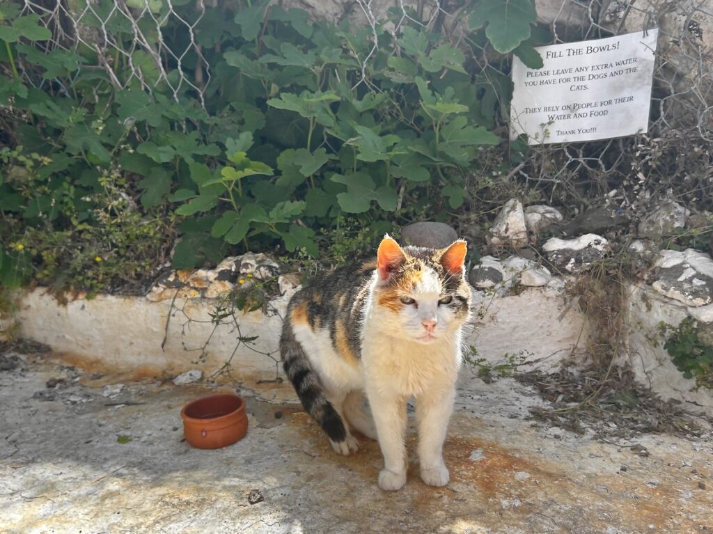 Eftalou Hot Springs
