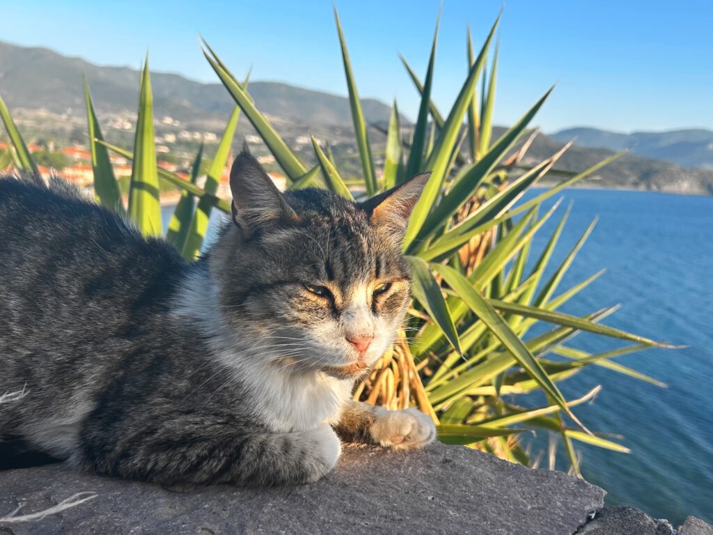 Greece Lesbos