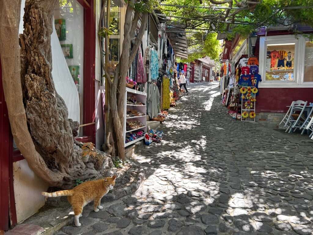 Lesbos Greece Instagram