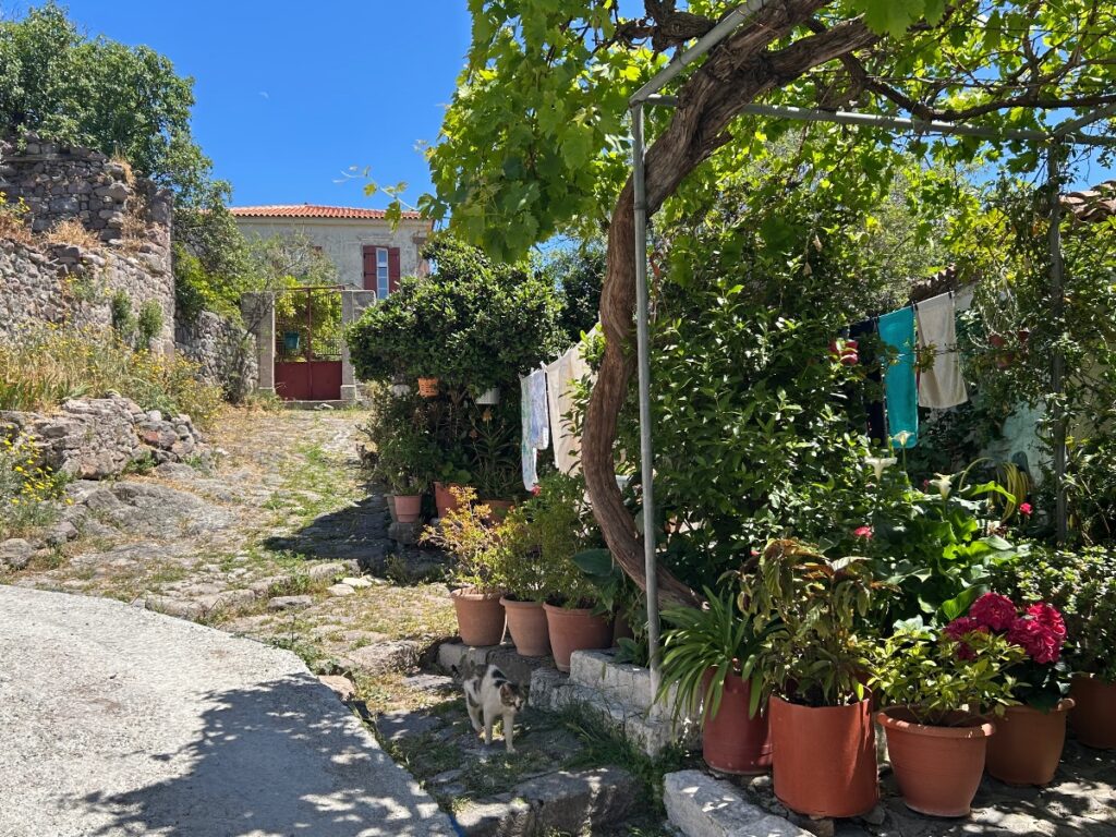Lesbos Greece things to do