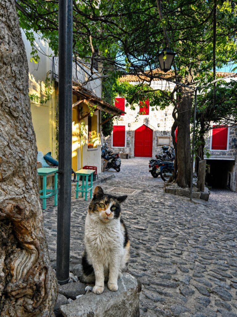 Lesvos Mithymna