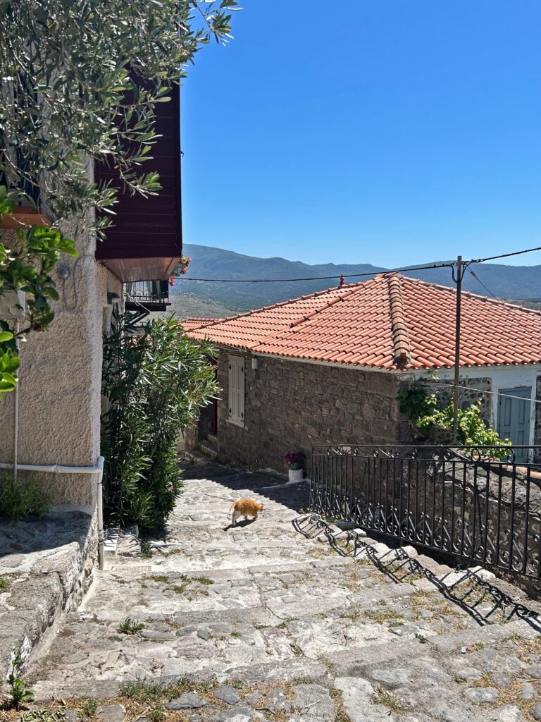 Molyvos staircase