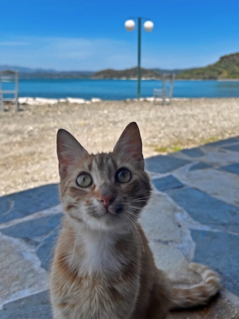 O Neftas Lesvos