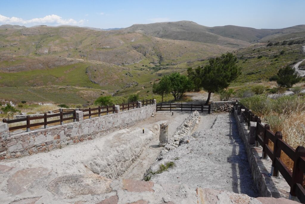 petrified forest of Lesbos