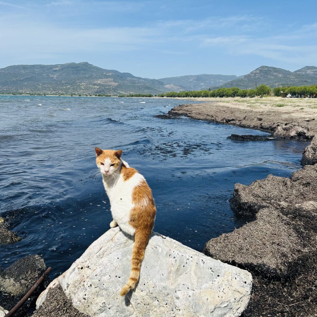 Skala Kalloni