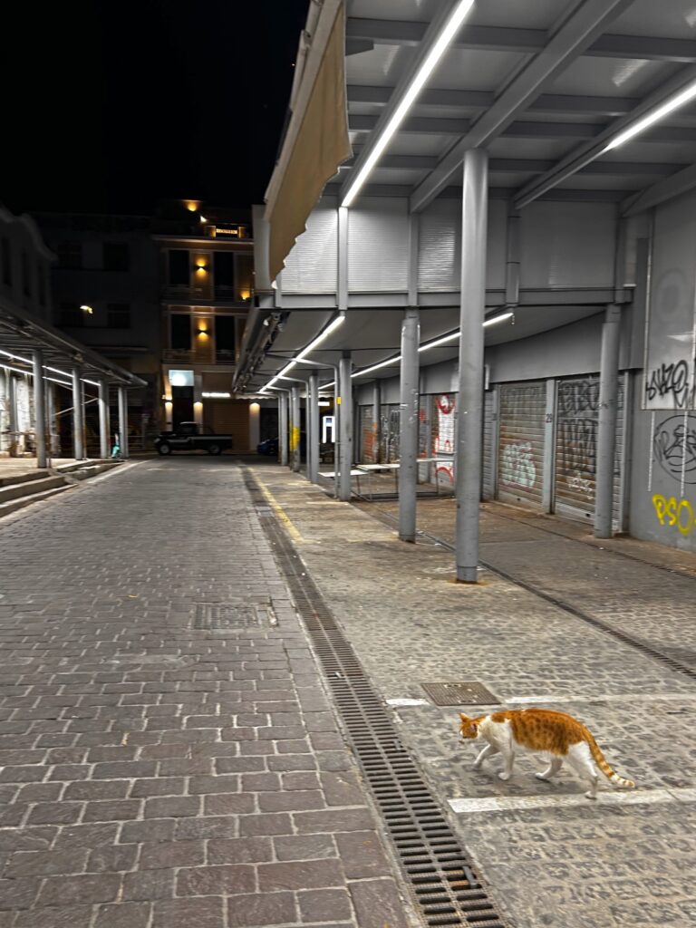 Athens empty road