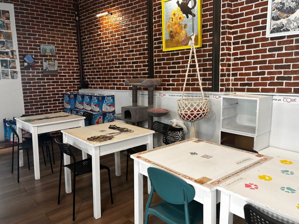 Cat Café Athens interior