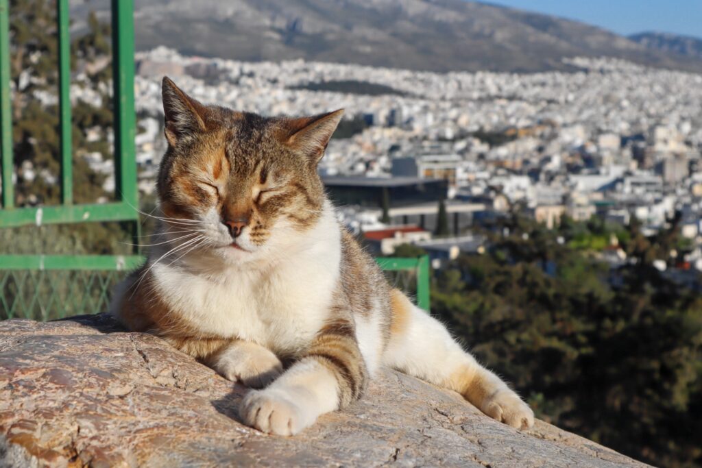 hotels in Athens