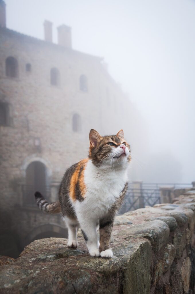 Athens day trips