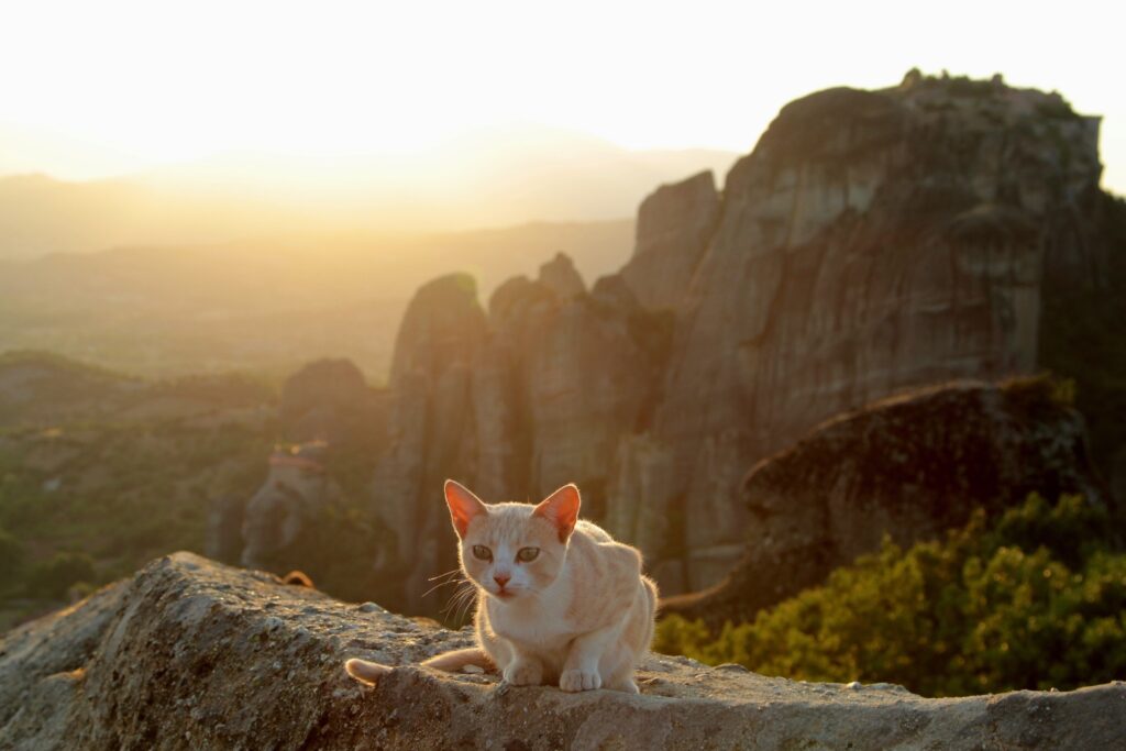 day trips from Athens