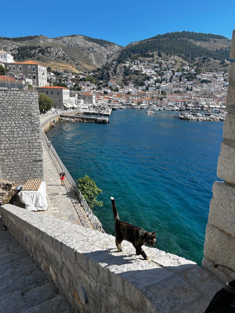 Hydra Island