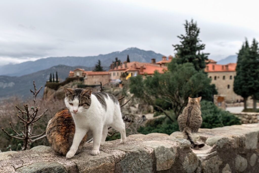 Meteora day trip from Athens