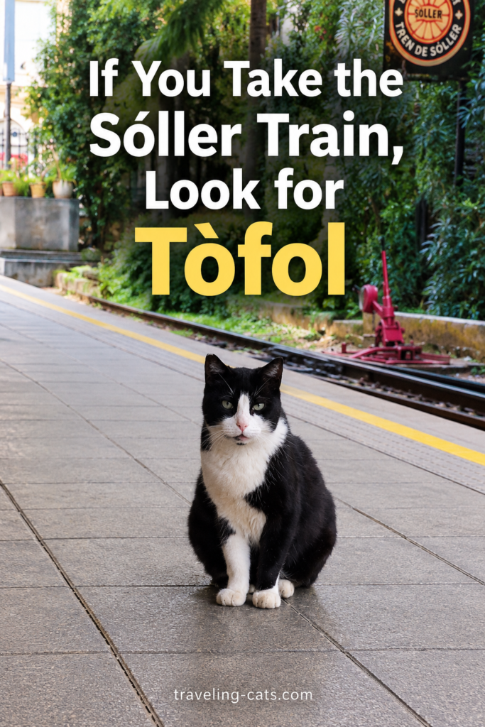 Soller train