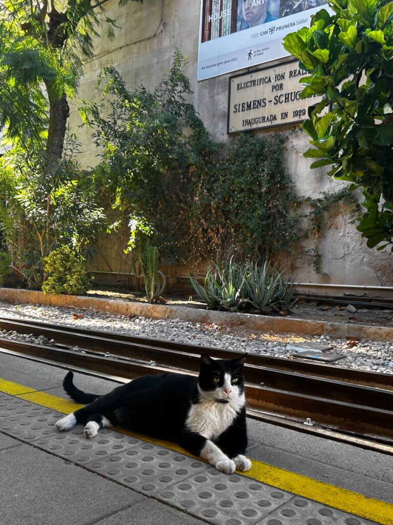 Ferrocarril de Sóller station
