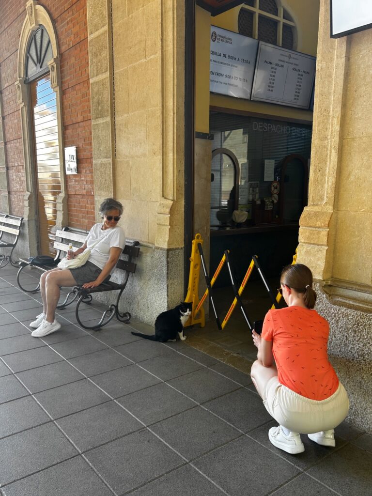 Palma train station