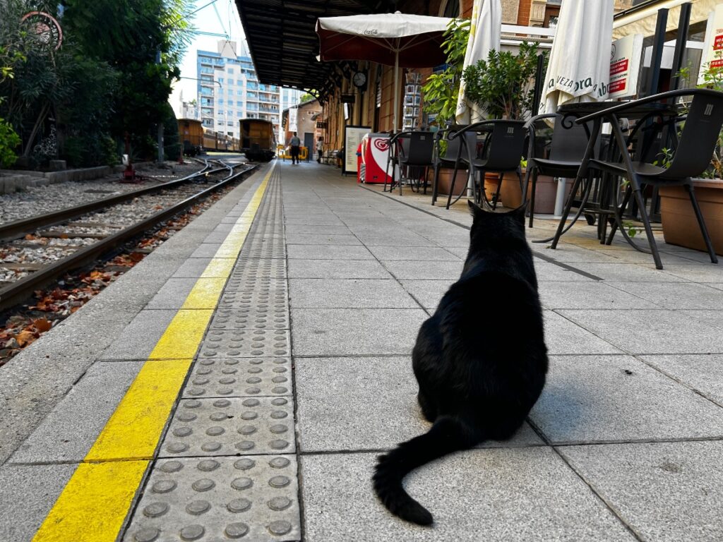 train from Palma to Sóller