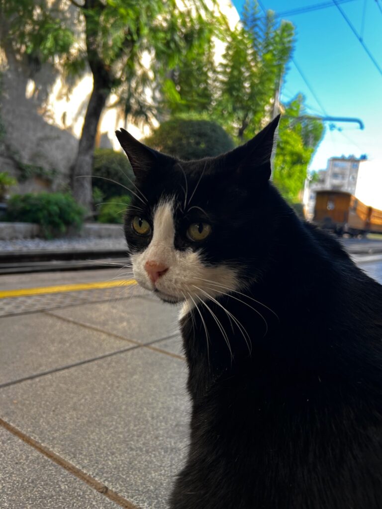 tren de Sóller station Palma